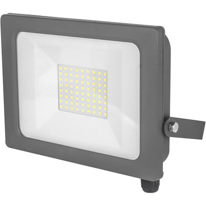 LED Floodlight 100W 6500K