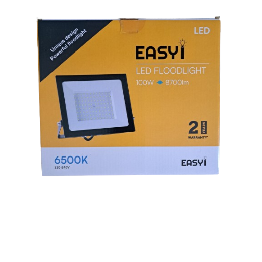LED Floodlight 100W 6500K
