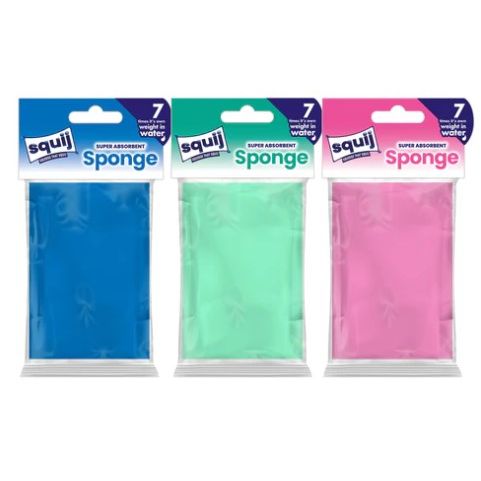Squij Absorbent Sponge Asst  - Box of 24